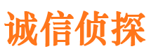 白云市调查公司